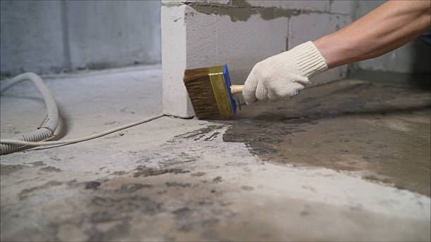 24/7 Emergency Crawl Space Encapsulation experts in Stephens City, VA